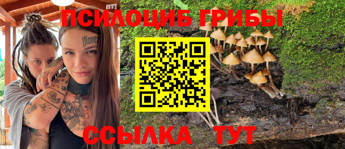 Галлюциногенные грибы Cubensis  Псилоцибиновые грибы мухоморы  Вход с VPN  Шебекино 
